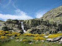 E, Avila, Navarredonda 2, Saxifraga-Kees Laarhoven