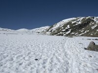 E, Avila, San Juan de Gredos, Senda de la Laguna Grande 23, Saxifraga-Willem van Kruijsbergen