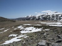 E, Avila, San Juan de Gredos, Senda de la Laguna Grande 35, Saxifraga-Willem van Kruijsbergen
