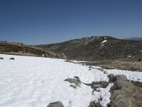 E, Avila, San Juan de Gredos, Senda de la Laguna Grande 39, Saxifraga-Willem van Kruijsbergen