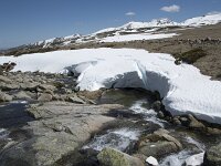 E, Avila, San Juan de Gredos, Senda de la Laguna Grande 66, Saxifraga-Willem van Kruijsbergen