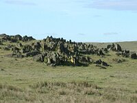 E, Badajos, La Serena, Dientes de Perro 1, Saxifraga-Dirk Hilbers