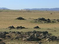 E, Badajos, La Serena, Dientes de Perro 2, Saxifraga-Dirk Hilbers