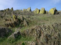 E, Badajos, La Serena, Dientes de Perro 4, Saxifraga-Dirk Hilbers