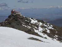 E, Granada, Monachil, Pradollano 24, Saxifraga-Willem van Kruijsbergen