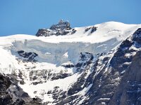CH, Bern, Lauterbrunnen, Jungfraujoch Sphinx-Observatorium 1, Saxifraga-Tom Heijnen