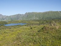 N, Nordland, Andoy, Bleikmorenen 30, Saxifraga-Willem van Kruijsbergen
