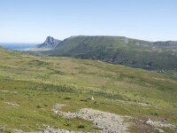 N, Nordland, Andoy, Nonstinden 6, Saxifraga-Willem van Kruijsbergen