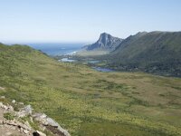 N, Nordland, Andoy, Nonstinden 9, Saxifraga-Willem van Kruijsbergen