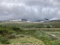 N, Nordland, Rana, Storforshei 3, Saxifraga-Willem van Kruijsbergen