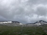 N, Nordland, Rana, Storforshei 7, Saxifraga-Willem van Kruijsbergen