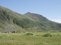 N, Nordland, Vestvagoy, Unstad 2, Saxifraga-Willem van Kruijsbergen