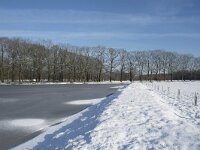 NL, Noord-Brabant, Alphen-Chaam, de Hoevens 66, Saxifraga-Willem van Kruijsbergen