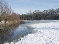 NL, Noord-Brabant, Alphen-Chaam, de Hoevens 85, Saxifraga-Willem van Kruijsbergen