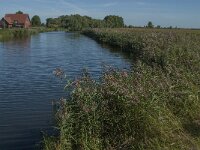 NL, Noord-Brabant, Altena, Bakkerskil 5, Saxifraga-Jan van der Straaten