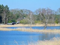 NL, Noord-Brabant, Bergeijk, Visvijvers Bergeijk (Liskes) 19, Saxifraga-Tom Heijnen