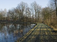 NL, Noord-Brabant, Veldhoven, De Hogt, Kempense Plassen 6, Saxifraga-Jan van der Straaten