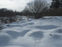 B, Liege, Eupen, Brackvenn 59, Saxifraga-Willem van Kruijsbergen