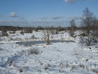 B, Liege, Eupen, Im Platten Venn 69, Saxifraga-Willem van Kruijsbergen