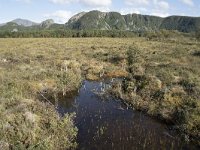 N, More og Romsdal, Fraena, Hustad 21, Saxifraga-Willem van Kruijsbergen