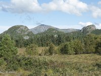 N, More og Romsdal, Fraena, Hustad 35, Saxifraga-Annemiek Bouwman