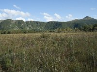 N, More og Romsdal, Fraena, Hustad 39, Saxifraga-Annemiek Bouwman