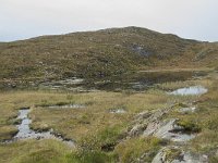 N, More og Romsdal, Molde, Tusenarsvarden 45, Saxifraga-Annemiek Bouwman