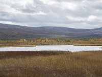 N, Oppland, Dovre, Fokstumyra 106, Saxifraga-Willem van Kruijsbergen