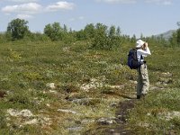 N, Oppland, Dovre, Fokstumyra 46, Saxifraga-Jan van der Straaten