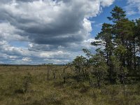 S, Jonkoping Lan, Varnamo, Lovo 22, Saxifraga-Jan van der Straaten