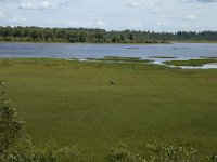 S, Jonkopings lan, Gnosjo, Kavsjon 13, Saxifraga-Marijke Verhagen