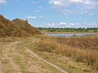 NL, Drenthe, Westerveld, Holtveen 12, Saxifraga-Hans Dekker