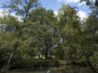 NL, Limburg, Roerdalen, Turfkoelen 7, Saxifraga-Marijke Verhagen