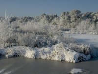 NL, Noord-Brabant, Alphen-Chaam, Goudberg 21, Saxifraga-Jan van der Straaten