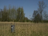 NL, Noord-Brabant, Baarle-Nassau, Halsche Beemden 8, Saxifraga-Jan van der Straaten