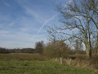 NL, Noord-Brabant, Geldrop, Gijzenrooische Zegge 3, Saxifraga-Jan van der Straaten