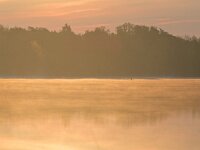 NL, Noord-Brabant, Valkenswaard, Visvijvers in Landgoed Valkenhorst 43, Saxifraga-Tom Heijnen