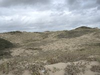 F, Pas-de-Calais, Wimereux, Dunes de la Slack 1, Saxifraga-Willem van Kruijsbergen