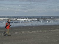 NL, Friesland, Terschelling, Boschplaat 21, Saxifraga-Jan van der Straaten
