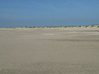 NL, Noord-Holland, Texel, De Hors 24, Saxifraga-Willem van Kruijsbergen