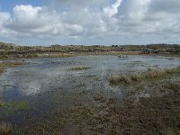 NL, Noord-Holland, Texel, De Muy 32, Saxifraga-Willem van Kruijsbergen