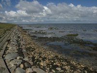Syddanmark, Roemoe, Dam 5, Saxifraga-Jan van der Straaten