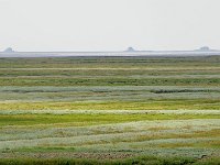 D, Schleswig-Holstein, Hallig Hamburg 3, Foto Fitis-Sytske Dijksen