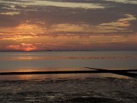 D, Schleswig-Holstein, Nordstrand, Puettenwarft 12, Saxifraga-Jan van der Straaten