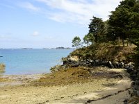 F, Cotes d'Armor, Paimpol, Pointe de Guilben 1, Saxifraga-Theo Verstrael