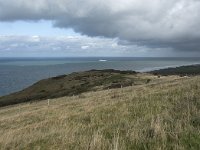 F, Pas-de-Calais, Sangatte, Cap Blanc Nez 2, Saxifraga-Willem van Kruijsbergen