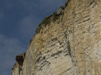 F, Seine-Maritime, Saint-Pierre-en-Port 22, Saxifraga-Willem van Kruijsbergen