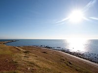 D, Schleswig-Holstein, Helgoland 9, Saxifraga-Bart Vastenhouw