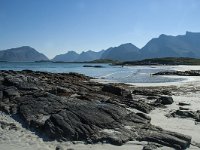 N, Nordland, Flakstad, Fredvang 28, Saxifraga-Marijke Verhagen