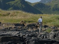 N, Nordland, Flakstad, Fredvang 4, Saxifraga-Jan van der Straaten